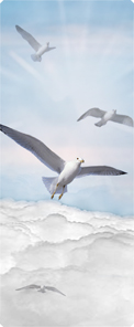 Journey Home Clouds Birds Blue